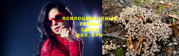 марихуана Абаза