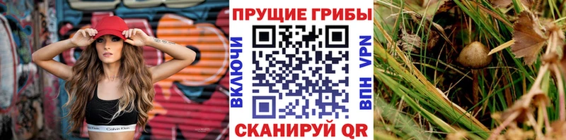 Псилоцибиновые грибы прущие грибы  hydra сайт  Бавлы 